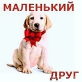 Ветеринарная клиника Маленький друг  на проекте VetSpravka.ru