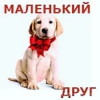 Ветеринарная клиника Маленький друг на проекте VetSpravka.ru Ветеринарная клиника Маленький друг на проекте VetSpravka.ru