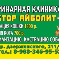 Ветеринарная клиника-аптека Доктор Айболит Фото 2 на проекте VetSpravka.ru Ветеринарная клиника-аптека Доктор Айболит Фото 2 на проекте VetSpravka.ru
