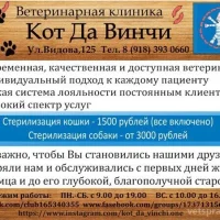 Ветеринарная клиника Кот Да Винчи Фото 2 на проекте VetSpravka.ru Ветеринарная клиника Кот Да Винчи Фото 2 на проекте VetSpravka.ru