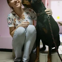 Ветеринарный кабинет Синяя птица на проекте VetSpravka.ru Ветеринарный кабинет Синяя птица на проекте VetSpravka.ru